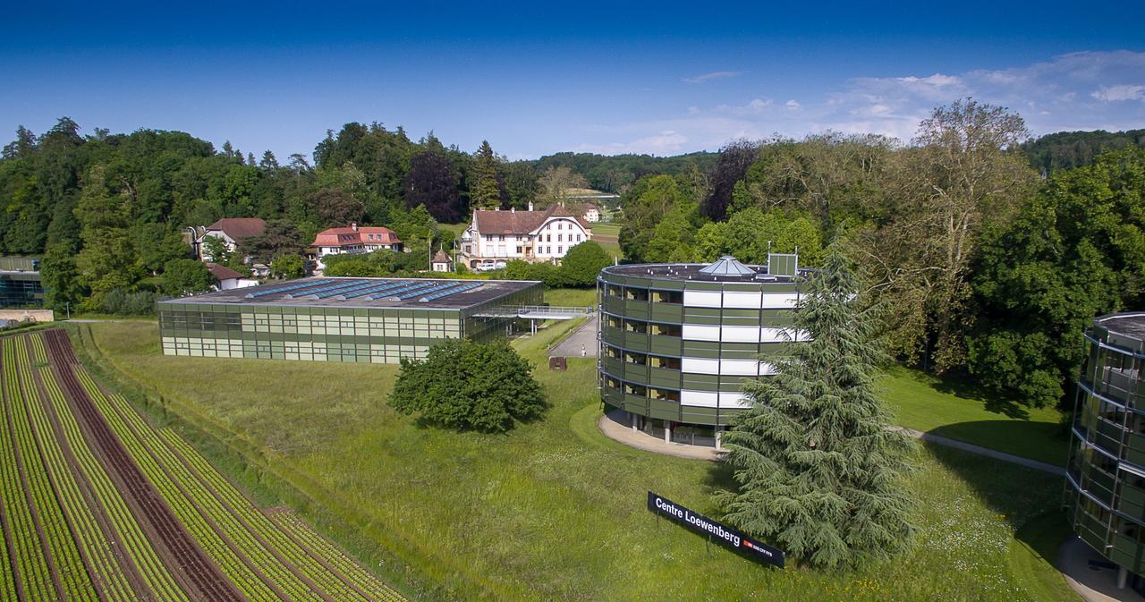 Centre Loewenberg Hotel Murten Luaran gambar